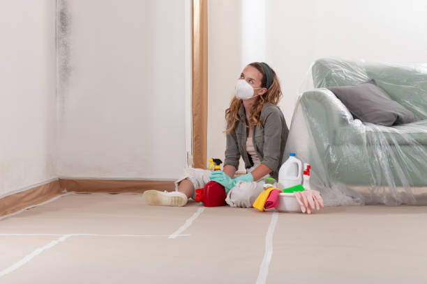 Reliable Mold Cleanup contractor in Edgewater, NJ by Cheap Mold Removal